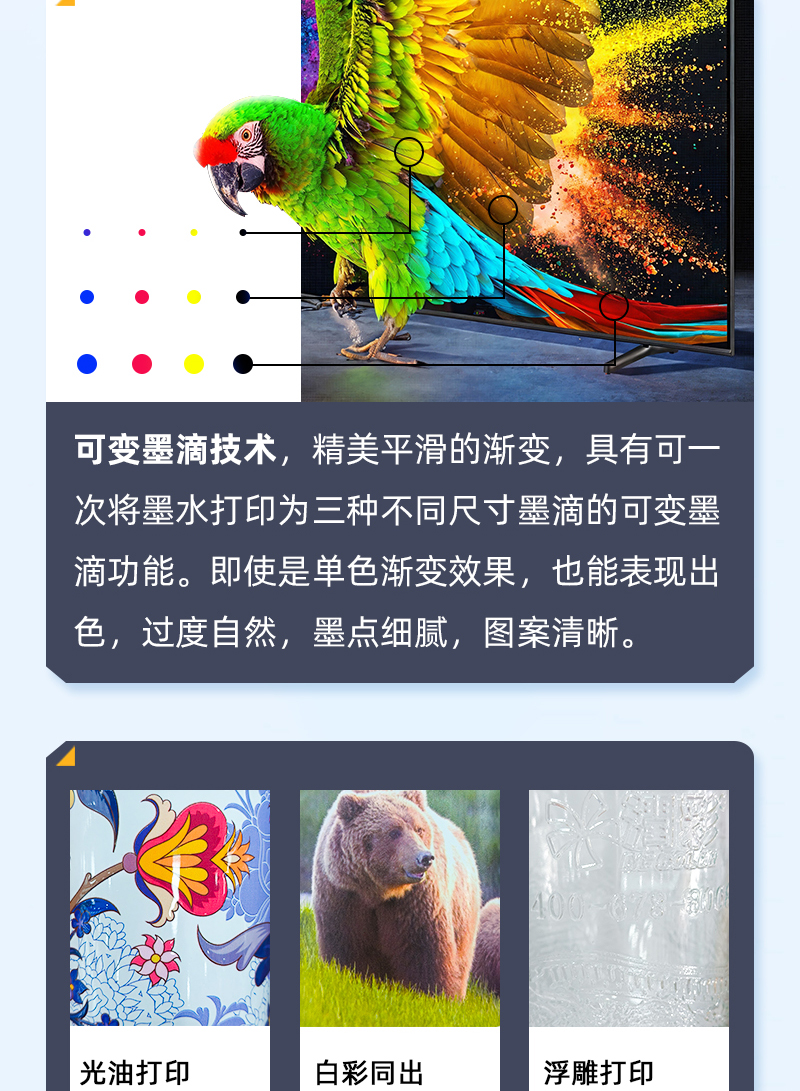 yth206游艇会官网-游艇会0005yth